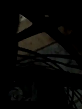 Heterobusca online show from 13, 4, 2026