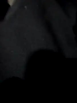 Heterobusca online show from 24, 4, 2026