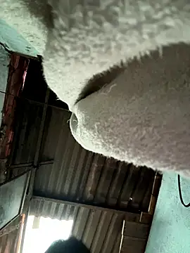 MEFUN- online show from 9, 1, 2026