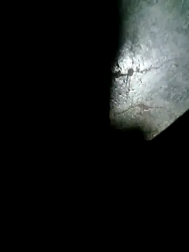 raju423204 online show from 15, 2, 2026