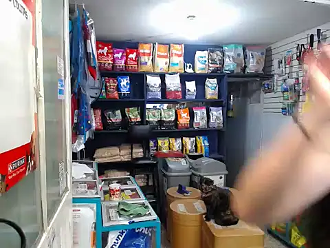 eva rushh online show from 24, 11, 2025