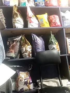 eva rushh online show from 9, 3, 2026