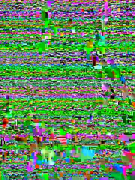 Snapshot of Se-xy01 chatting on 25, 11, 2025 Se-xy01 online show from 25, 11, 2025