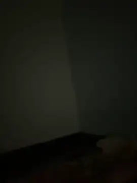 black-1406 online show from 22, 2, 2026