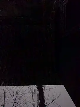 pitty mymi online show from 23, 2, 2026