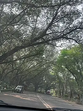 sexyayeshadesi online show from 20, 11, 2025