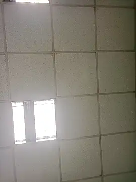 platone09 online show from 16, 1, 2026