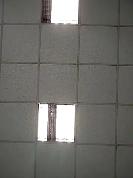 platone09 online show from 21, 4, 2026