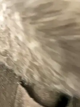 yiyi0316 online show from 28, 11, 2025