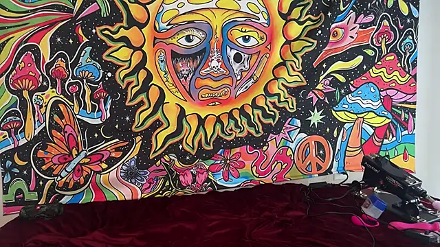 stellakobra online show from 24, 3, 2026