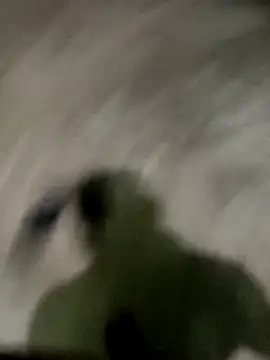 Snapshot of spermc chatting on 27, 11, 2025 spermc online show from 27, 11, 2025