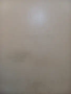 StormzyLeila online show from 1, 12, 2025