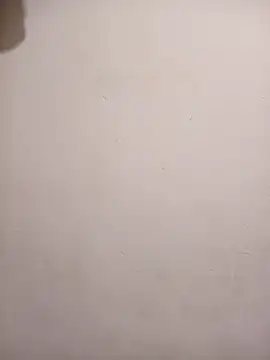 honeypot224 online show from 9, 4, 2026