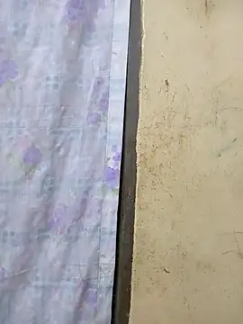 honeypot224 online show from 12, 2, 2026