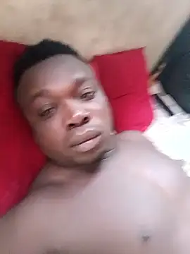 a jose3 online show from 31, 3, 2026