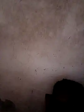 a jose3 online show from 14, 4, 2026