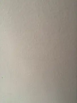 Snapshot of CandyCol chatting on 25, 11, 2025 CandyCol online show from 25, 11, 2025