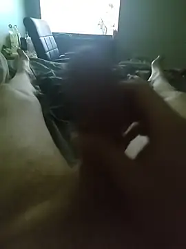 PapaColt online show from 20, 11, 2025