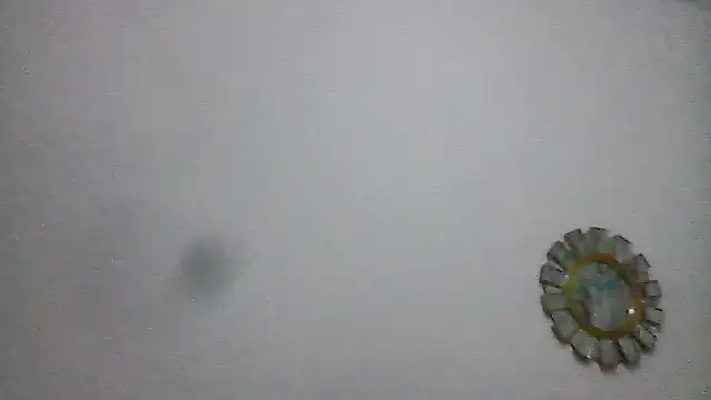 BWW-CINDY11 online show from 26, 2, 2026