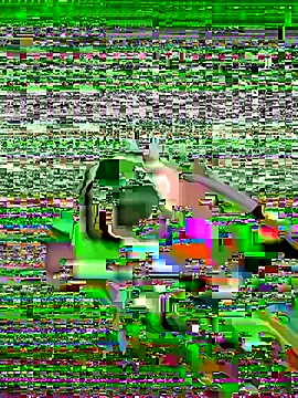 suston online show from 16, 11, 2025