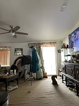 tsashelayamylynzy online show from 11, 2, 2026