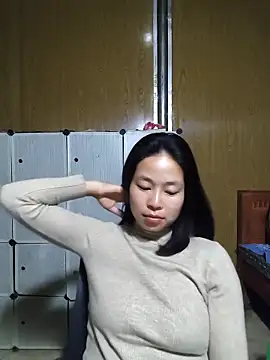 Cat-meow online show from 8, 3, 2026