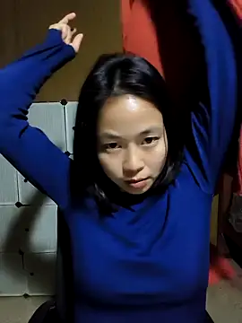 Cat-meow online show from 22, 12, 2025