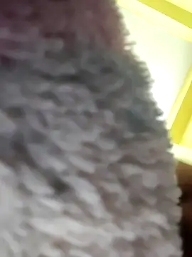 Minakshi-Gi online show from 18, 2, 2026