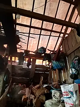 meomeo-00 online show from 26, 4, 2026