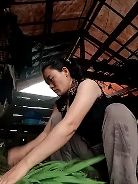 meomeo-00 online show from 18, 4, 2026