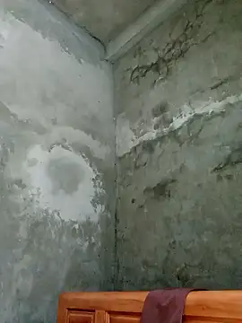 Ava-120 online show from 12, 1, 2026