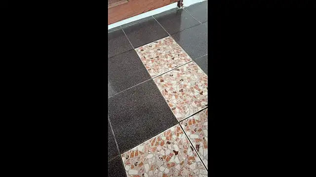 zghn00 online show from 18, 11, 2025