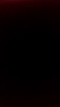 LeillaaX online show from 1, 3, 2026