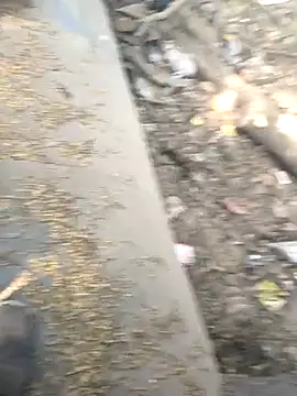 Playboy pune  online show from 26, 11, 2025