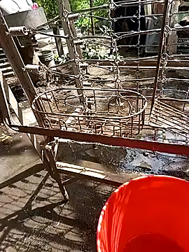 juunioreest online show from 25, 11, 2025