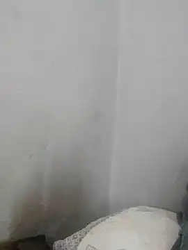 fpic online show from 18, 11, 2025