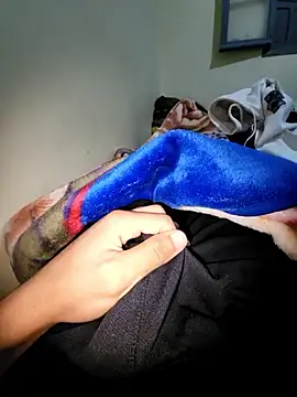 aniis46 online show from 3, 3, 2026