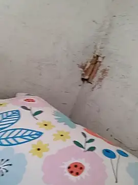 braidqueen00 online show from 20, 12, 2025