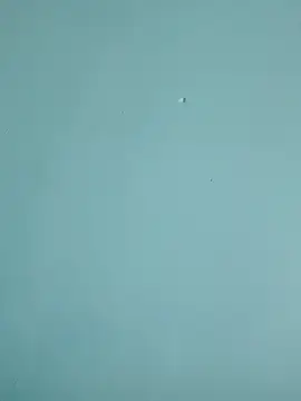 braidqueen00 online show from 19, 2, 2026