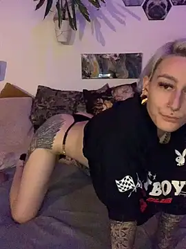 Shy-Ivy online show from 1, 6, 2026