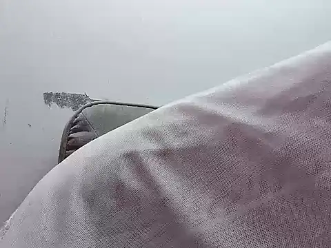 Binnky online show from 4, 4, 2026