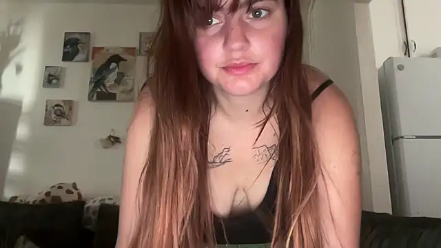 loserlexxx online show from 8, 2, 2026