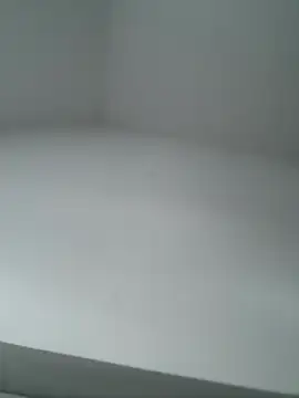 -bfc1882- online show from 24, 2, 2026