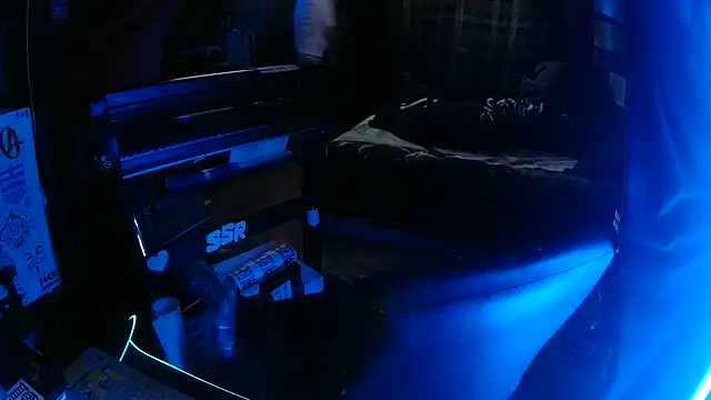 Bowerboi online show from 30, 11, 2025