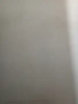 Reema 143 online show from 16, 12, 2025