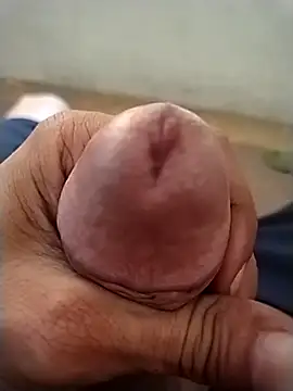 GDwrzsc2bfc online show from 4, 12, 2025