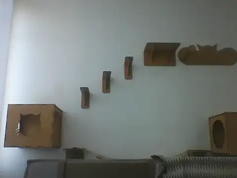 Temp7 online show from 6, 3, 2026