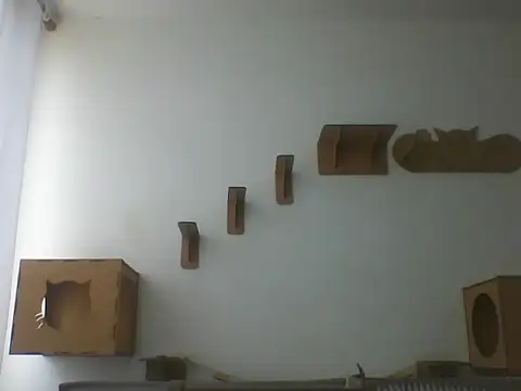 Temp7 online show from 5, 3, 2026