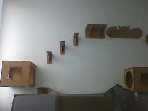 Temp7 online show from 22, 2, 2026