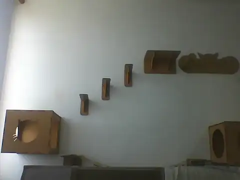 Temp7 online show from 7, 3, 2026